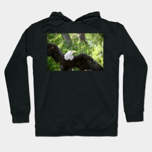 Flight Hoodie